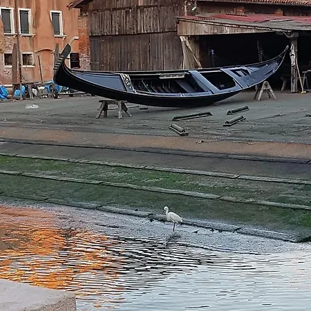 Garden Ca' Rezzonico Venice
