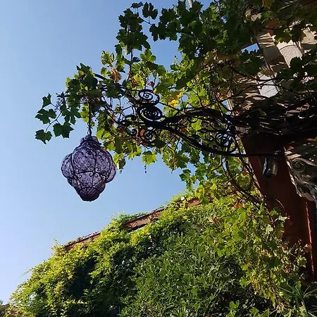 Garden Ca' Rezzonico Venice