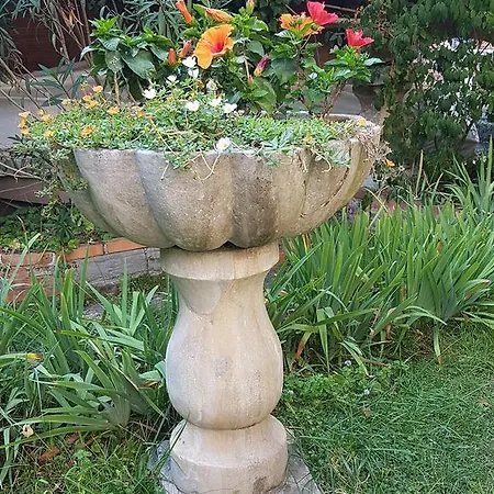 Garden Ca' Rezzonico