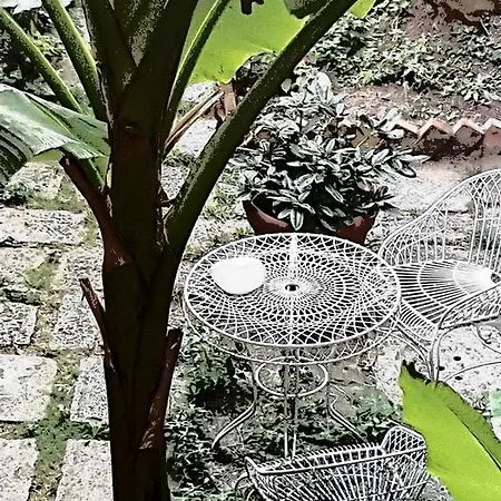 Garden Ca' Rezzonico Apartment