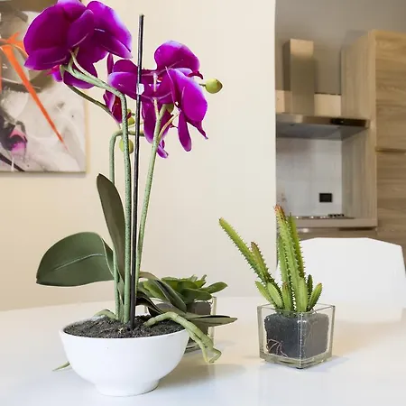 Apartment Garden View