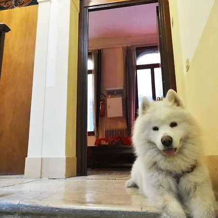 Ostello Youth Palace
