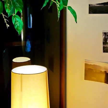 Hostel The Academy