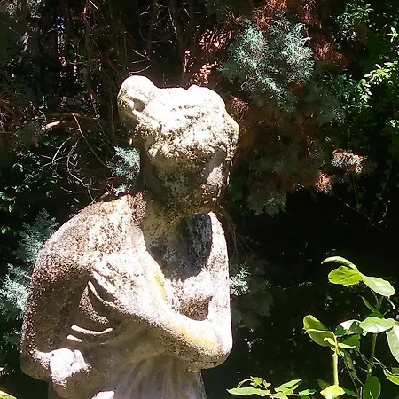 Allegri Von Ghega Venice