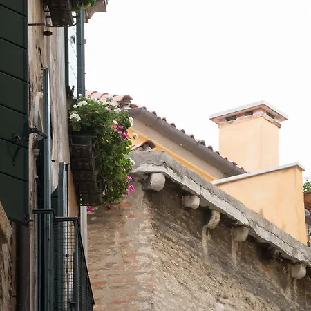 Cà Domino