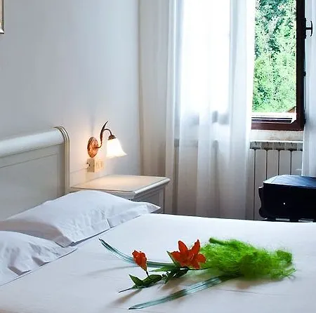 Stella Alpina Edelweiss Venise