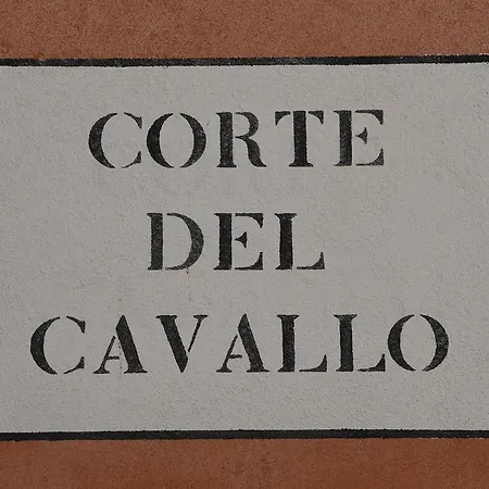 Bed & Breakfast Mio Venice