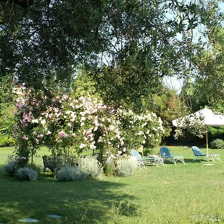 Hotel Bauer Palladio & Spa
