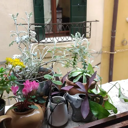 Hostel The Academy Venice