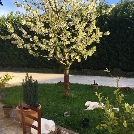 Casa di campagna Corte Del Brenta Oriago Di Mira