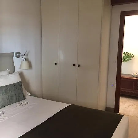 Primaluce Venice