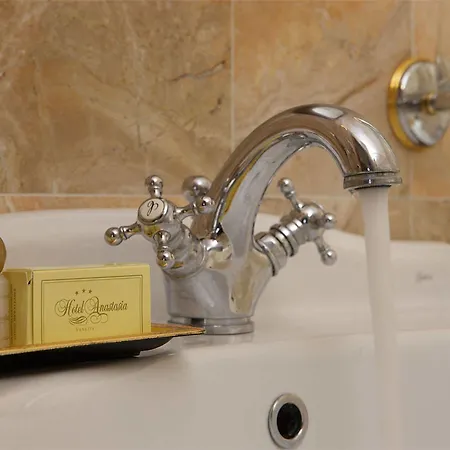 Anastasia Hotel 3*