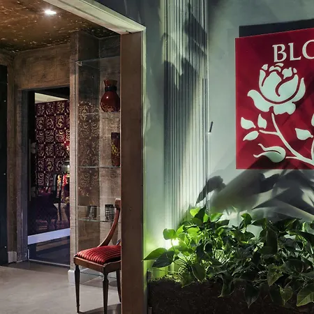 Bloom Settimo Cielo