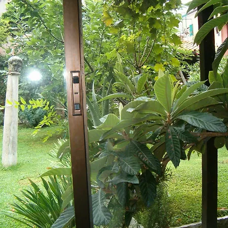 Garden Ca' Rezzonico Venice