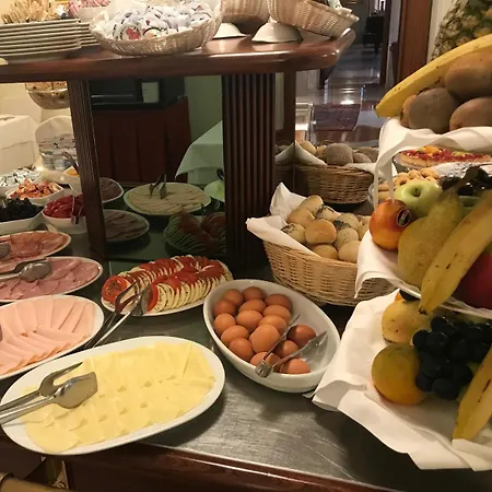 佛斯卡里宫殿酒店 酒店 4*