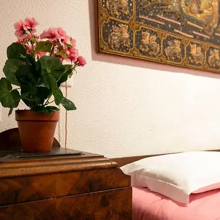 Ground Floor Santa Margherita Apt Ac Wi-fi Venice