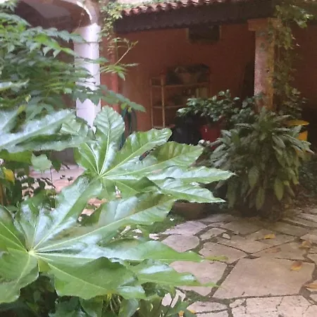 Apartment San Marco Garden House Venedig