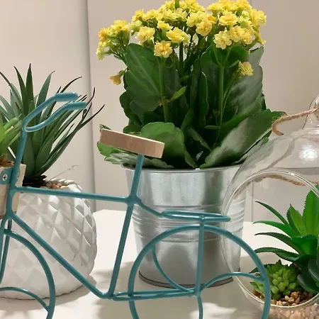 Apartment San Samuele