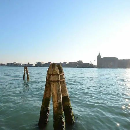 Guggenheim Museum, Cool, 4Pax Venice