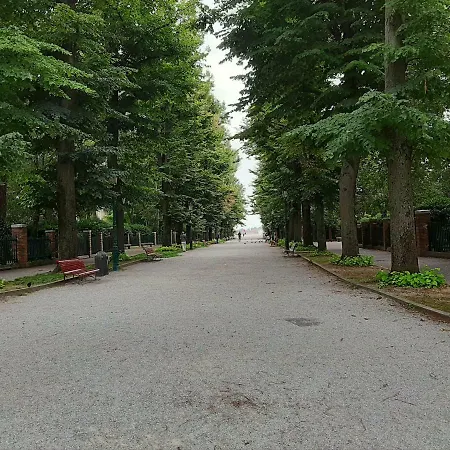 Isepo Venice