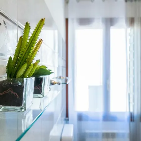 Apartment Garden View