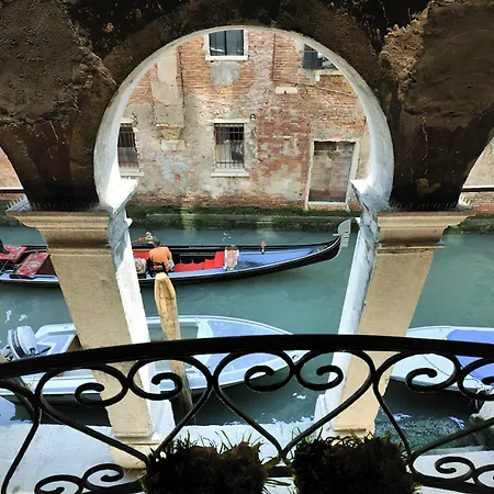 Red Rose Venice