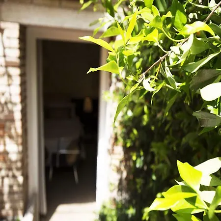 Guest house Avogaria 5