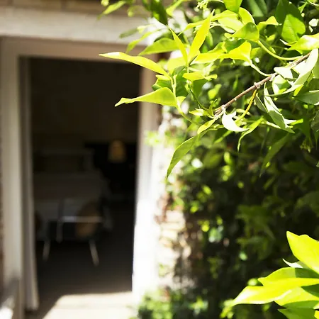 Avogaria 5 Guest house