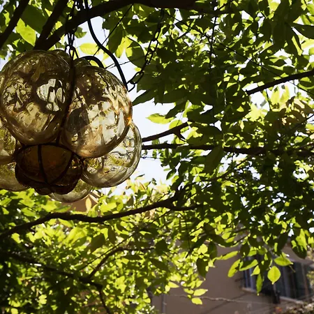 Guest house Avogaria 5 Venice