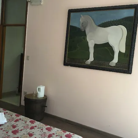 Aurora Hostel 3*