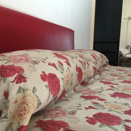 Aurora Hostel Guest house