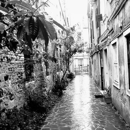 Ca' Tintor * Venice