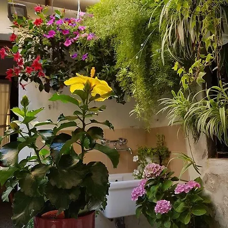 Holiday home Ca' Malatin