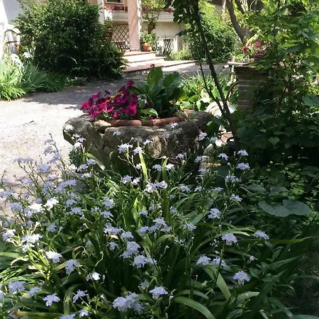 Oasi Di Venice