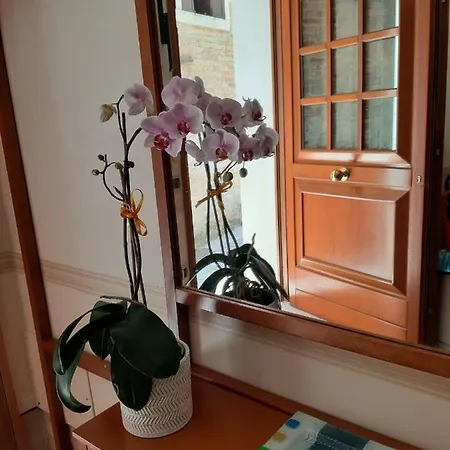 Apartment Casamariamaddalena Venice