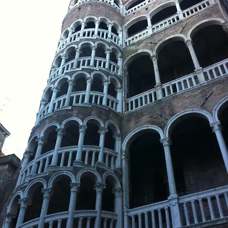 Ali Venice
