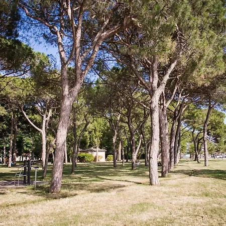 Biennale Bianco & Rosso Apartment *