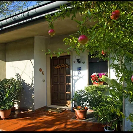 Bed & Breakfast Oasi Di Venice