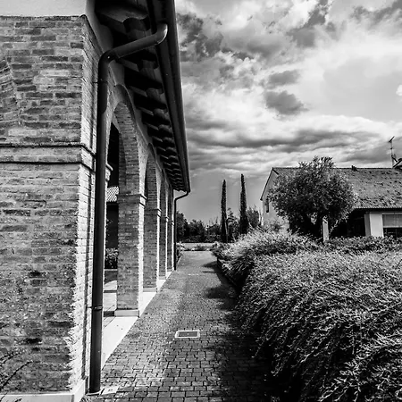 Annia Park Venice Airport Tessera