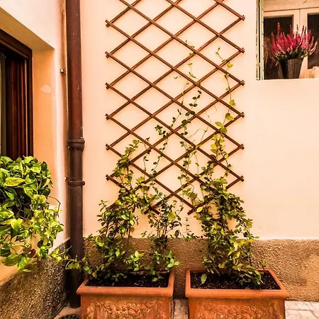 Cozy House-close To Biennale And St. Mark Square Venice