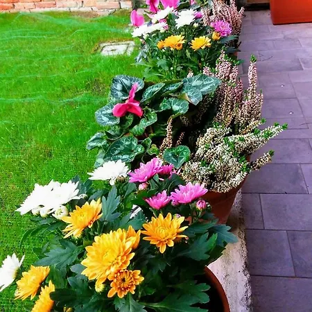 Hortus Отель типа 