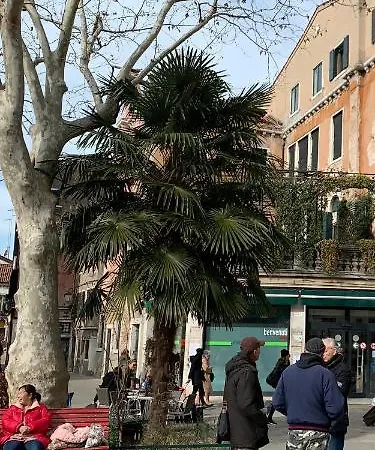 Sunshine Relais Apartment Venice