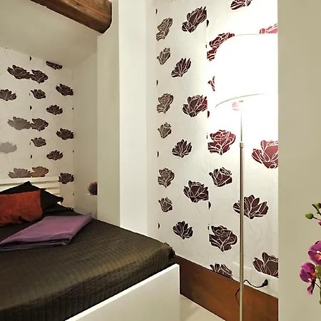 Gran Design Venice