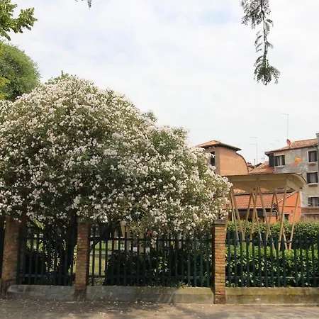 Veneziacentopercento Nicoli