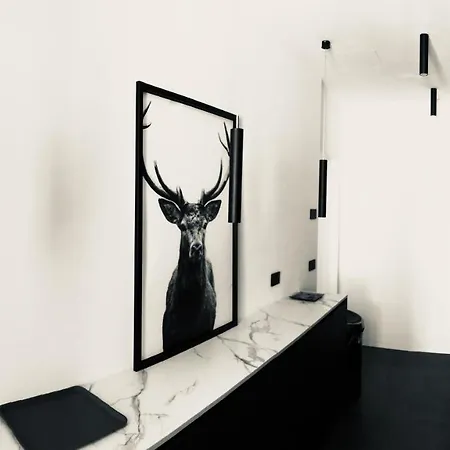 Apartamento Falier- Luminosa Venezia