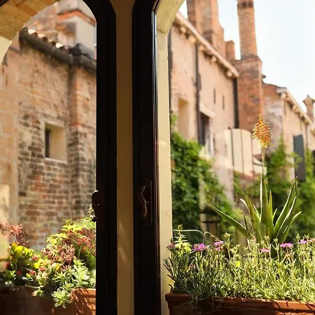 Flora Venezia