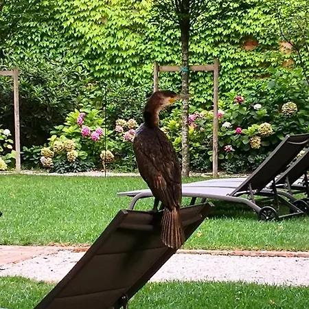 Cinqueteste Luxury Venezia