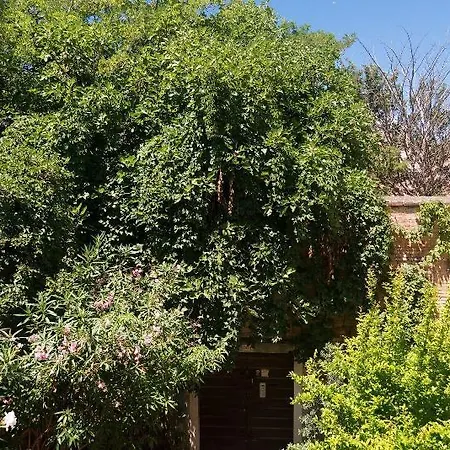 Casa Baseggio Bed & Breakfast