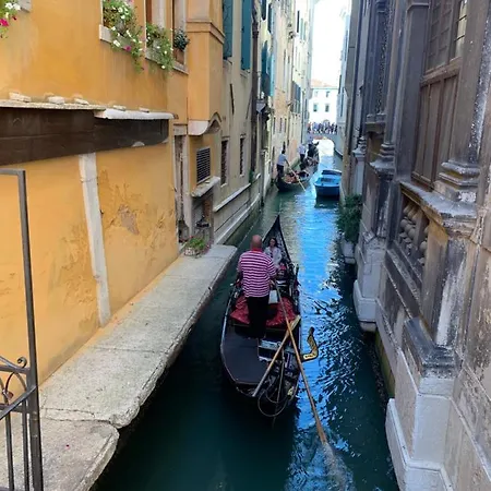 Familly Venice