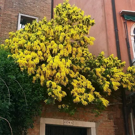 Cinqueteste Luxury Venezia